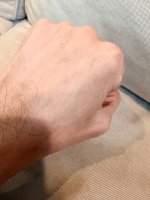 IMG_7533.jpeg