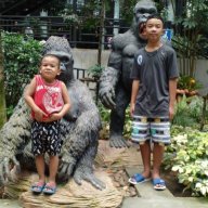 kwan